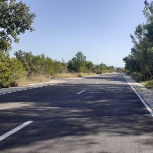 20231011_110012_original