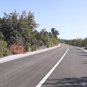 20231011_110551_original