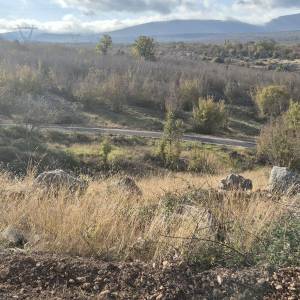 20251114_101137_original